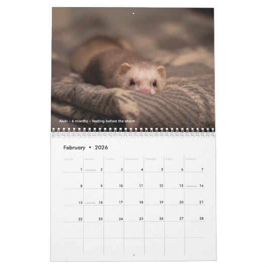 r/ferrets Calendar 5th Edition (2026) Kalender (Feb 2026)