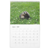r/ferrets Calendrier 2023 (Mar 2027)