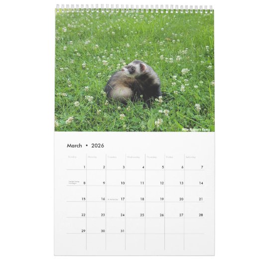 r/ferrets Calendrier 2023 (Mar 2026)