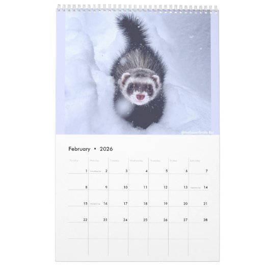 r/ferrets Calendrier 2023 (Feb 2026)
