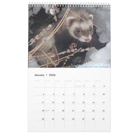 r/ferrets Calendrier 2023 (Jan 2026)