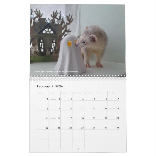 r/ferrets Calendrier 3.5 Edition (2025) Tous les j (Feb 2026)