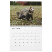 r/ferrets Calendrier 3ème édition (2025) (Mar 2026)