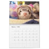r/ferrets Calendrier 3ème édition (2025) (Feb 2026)