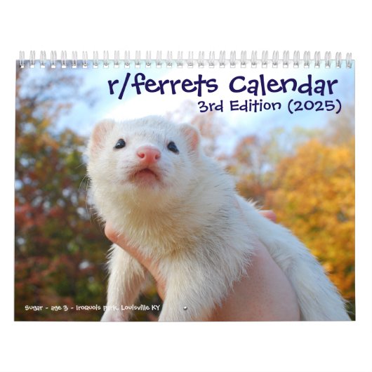 r/ferrets Calendrier 3ème édition (2025) (Protection)