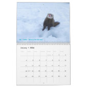 r/ferrets Calendrier 3ème édition (2025) (Jan 2026)