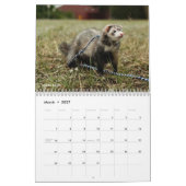 r/ferrets Calendrier 3ème édition (2025) (Mar 2027)