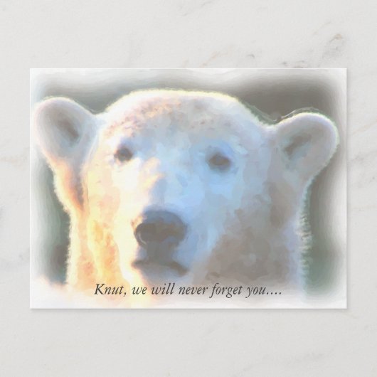 R.I.P. polair beer Knut waterverf Briefkaart (Voorkant)