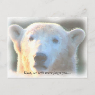 R.I.P. poolbeer Knut waterverf Briefkaart