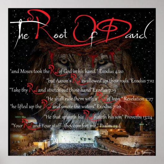R.O.D. Root van David. Poster (Voorkant)