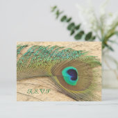 R.S.V.P. PEACOCK FEACOCK INVITATIONS CORRESPONDANT (Debout devant)