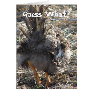 Raad eens? Chicken Butt