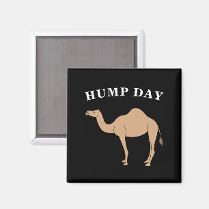 Raad eens na welke dag het Hump Day Camel Desert A Magneet