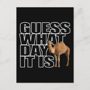 Raad eens wat het is voor dag Hump Day Camel Briefkaart