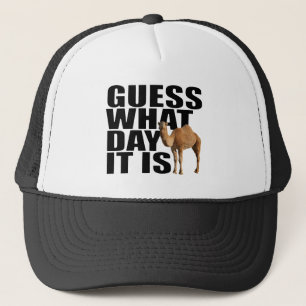 Raad eens wat het is voor dag Hump Day Camel Trucker Pet