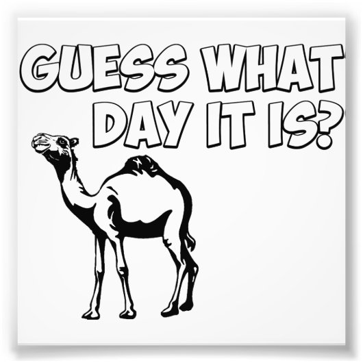 Raad eens welke dag het is? Hump Day Camel Foto Afdruk (Voorkant)