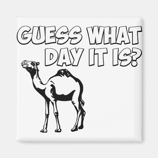 Raad eens welke dag het is? Hump Day Camel Magneet (Voorkant)