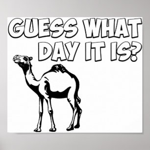 Raad eens welke dag het is? Hump Day Camel Poster