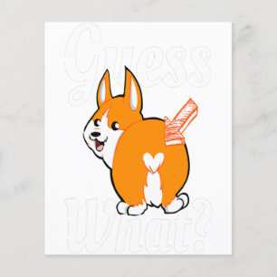Raad Wat Corgi Kont Hondenliefhebbers Flyer