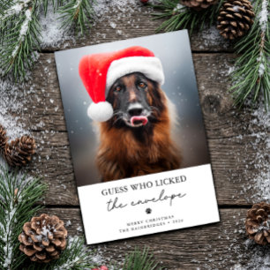 Raad Wie de Envelop Gelikt Heeft Grappige Hond Ker Feestdagenkaart