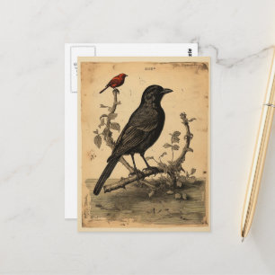  raaf en rode vogel briefkaart