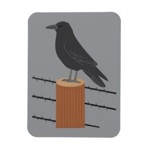Raaf Magneet