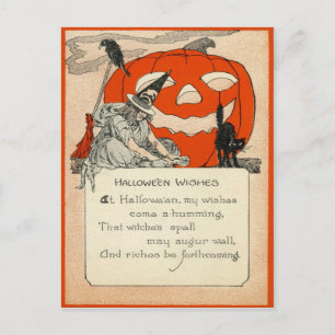 Raaf van de Kat van de Lantaarn van de Hefboom O Briefkaart