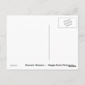 raam zicht briefkaart (Achterkant)