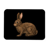Rabbit 2 magneet (Horizontaal)