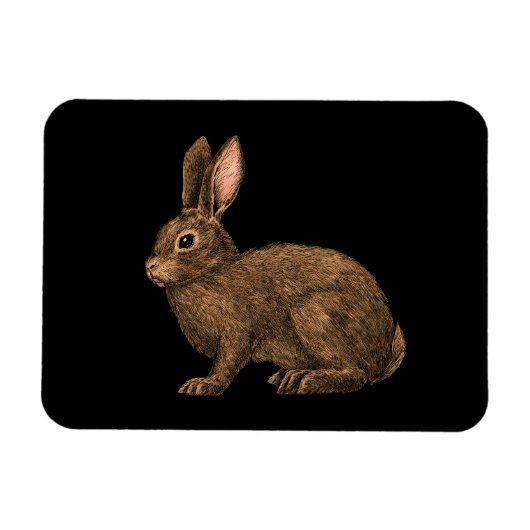 Rabbit 2 magneet (Horizontaal)