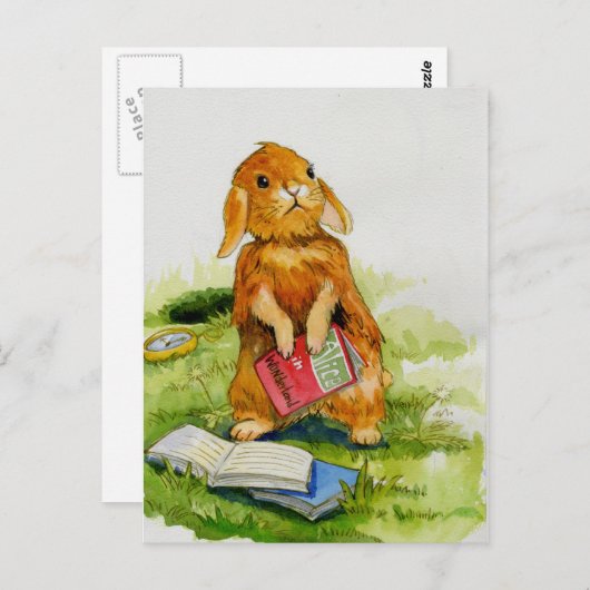 Rabbit aime lire Carte postale (Devant / Derrière)