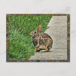 Rabbit art feestdagenkaart