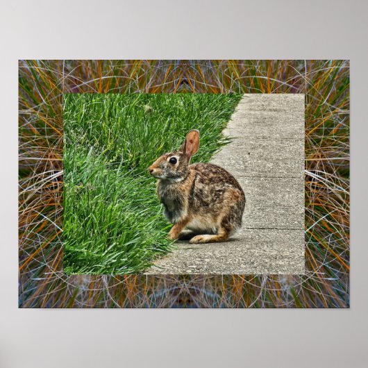 Rabbit art poster (Voorkant)