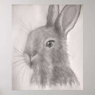 Rabbit Art Prints, Posters