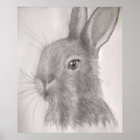 Rabbit Art Prints, Posters (Voorkant)