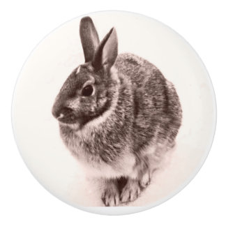 Rabbit Black en white nob, drawer pull, Keramische Knop