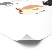 Rabbit breeds chart perfect poster (Hoek)
