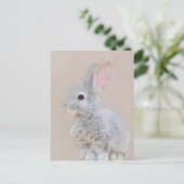 Rabbit Briefkaart No.31 (Staand voorkant)