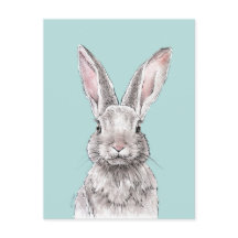 Rabbit Bunny tekening Cute Spring Animal art