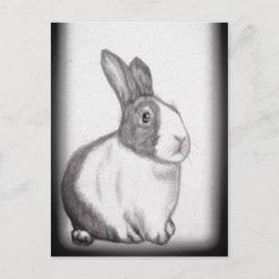 Rabbit Bunny White Fluffy Tail Long Ears Briefkaar Briefkaart