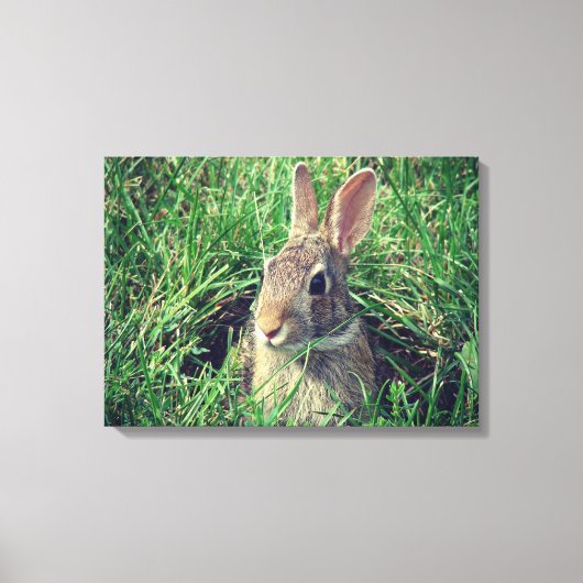 Rabbit Canvas Print (Voorkant)