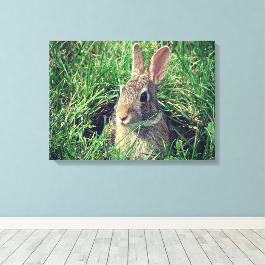 Rabbit Canvas Print (Insitu (Houten vloer))