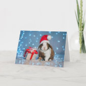 Rabbit - Carte de Noël (Devant)