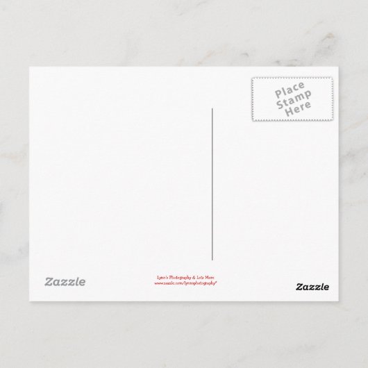 Rabbit & Coeur - Carte postale (Dos)