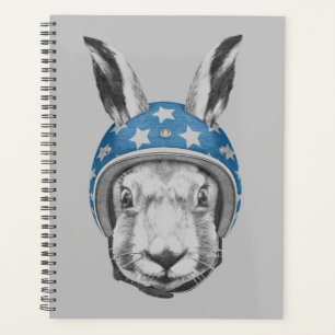 Rabbit Daredevil