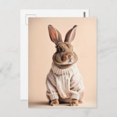 Rabbit en pull, Carte postale de poste (Devant / Derrière)