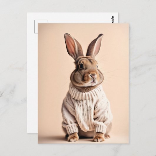 Rabbit en pull, Carte postale de poste (Devant / Derrière)