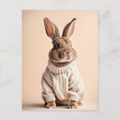 Rabbit en pull, Carte postale de poste (Devant)
