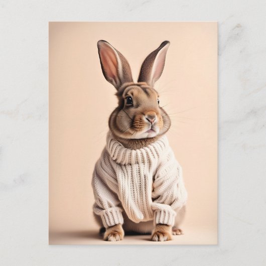Rabbit en pull, Carte postale de poste (Devant)