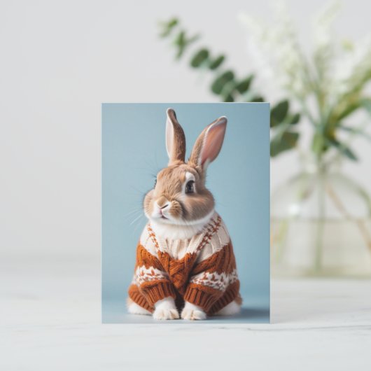 Rabbit en pull, Carte postale de poste (Debout devant)